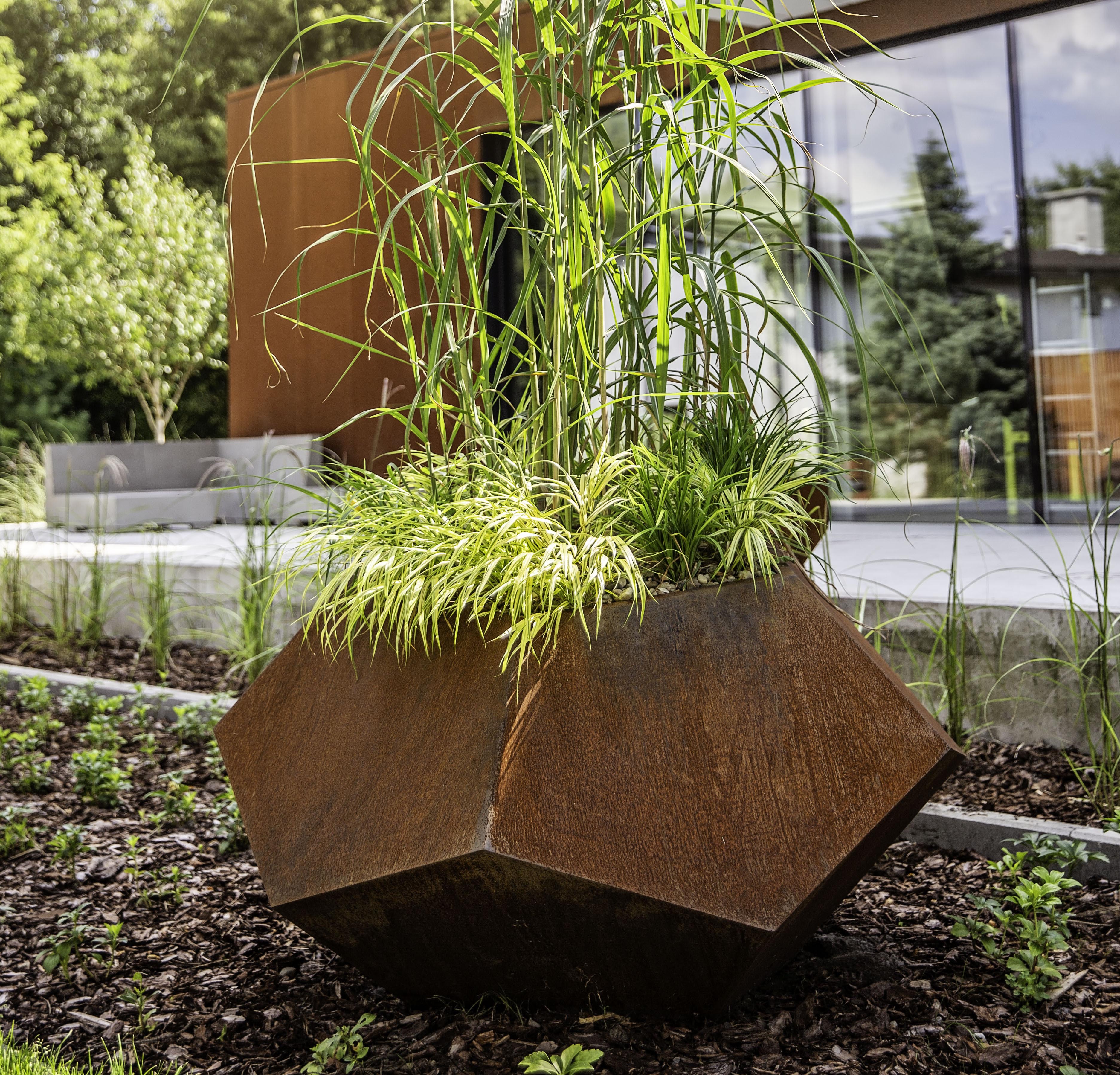 donica corten