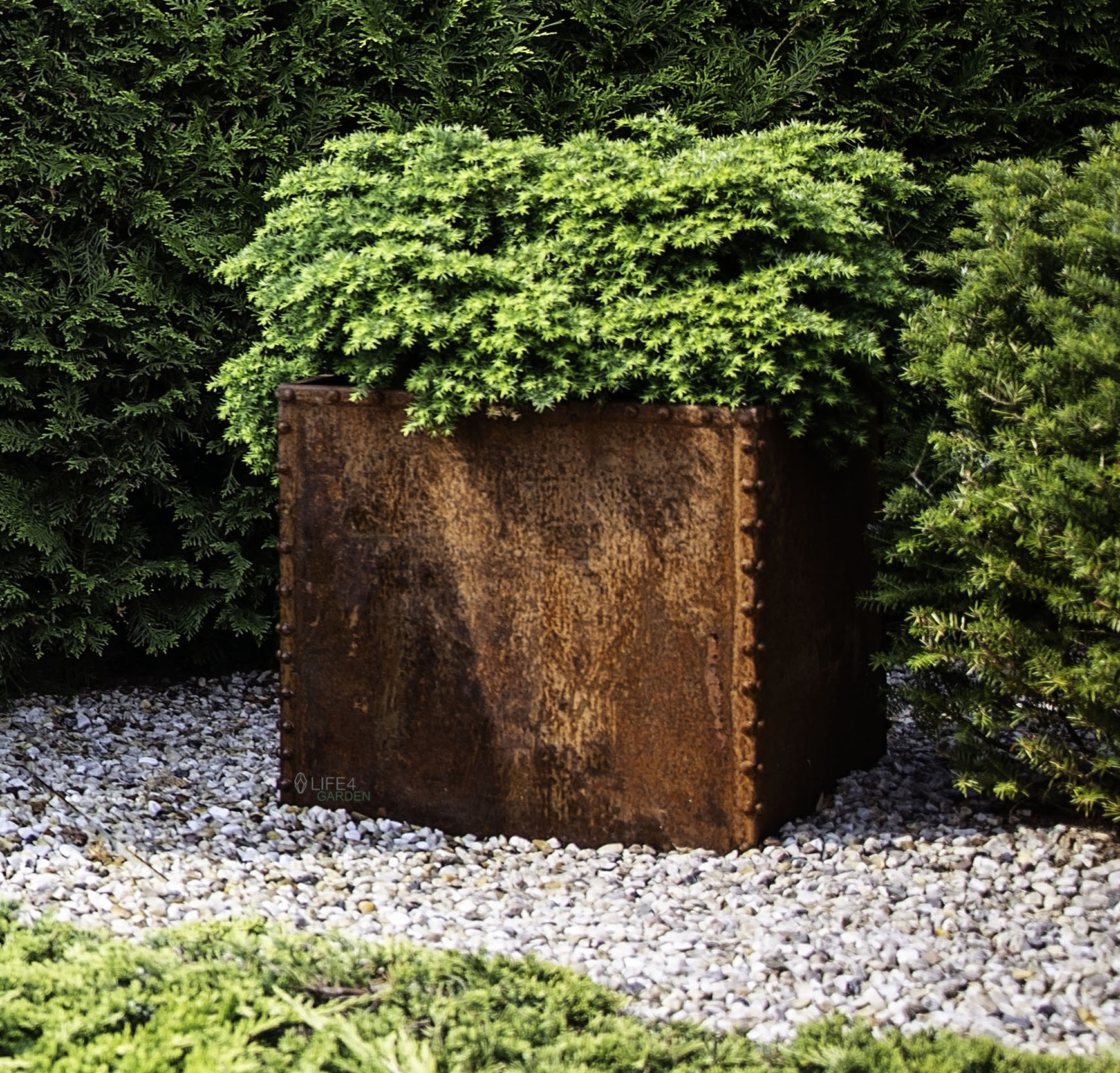 corten 1