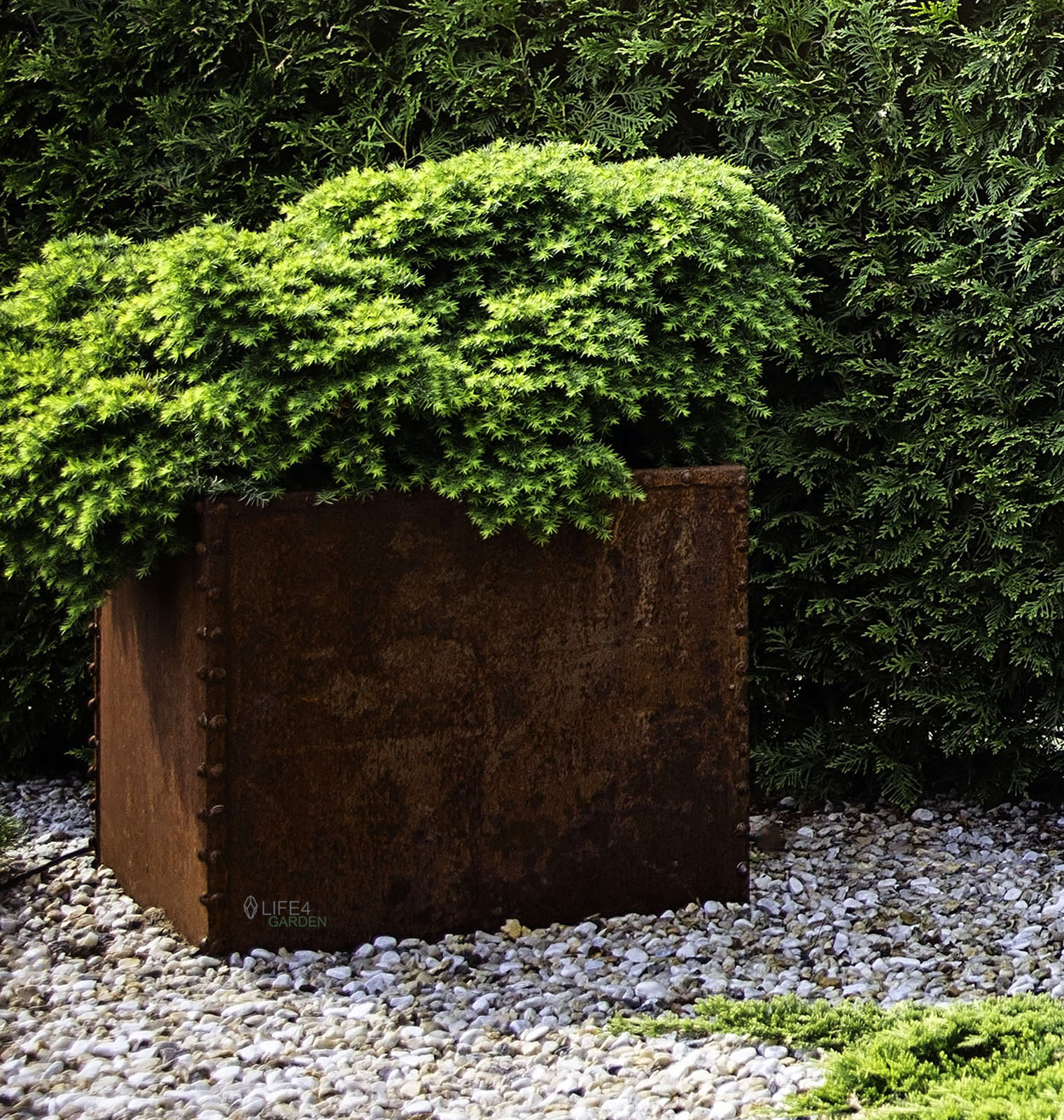 donica cube corten 3